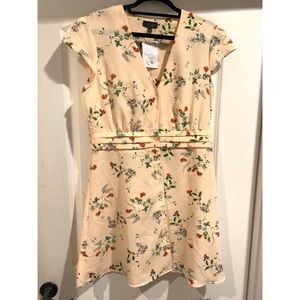Topshop Baby Pink Floral Button up Dress